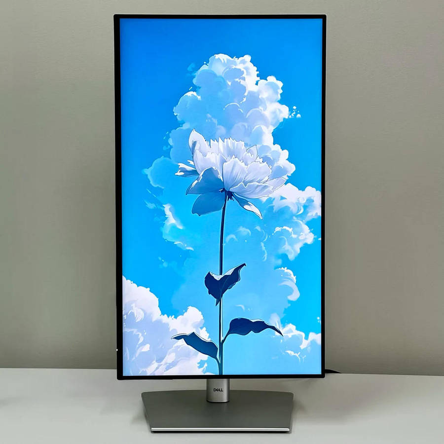 Dell UltraSharp 24 USB-C® Hub Monitor - U2424HE