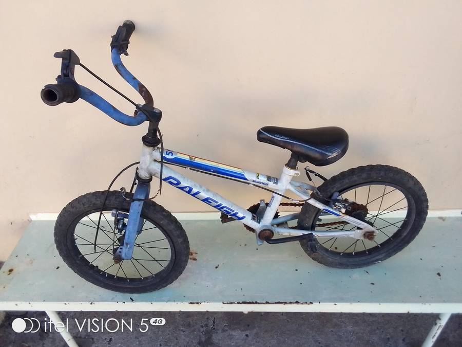 Bmw Raleigh burner 16 inch