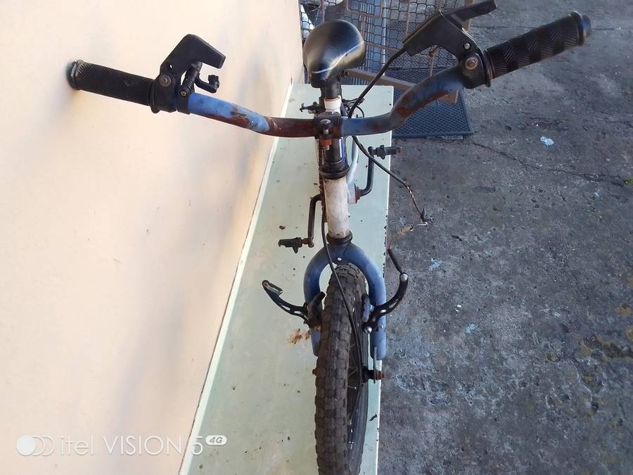 Bmw Raleigh burner 16 inch