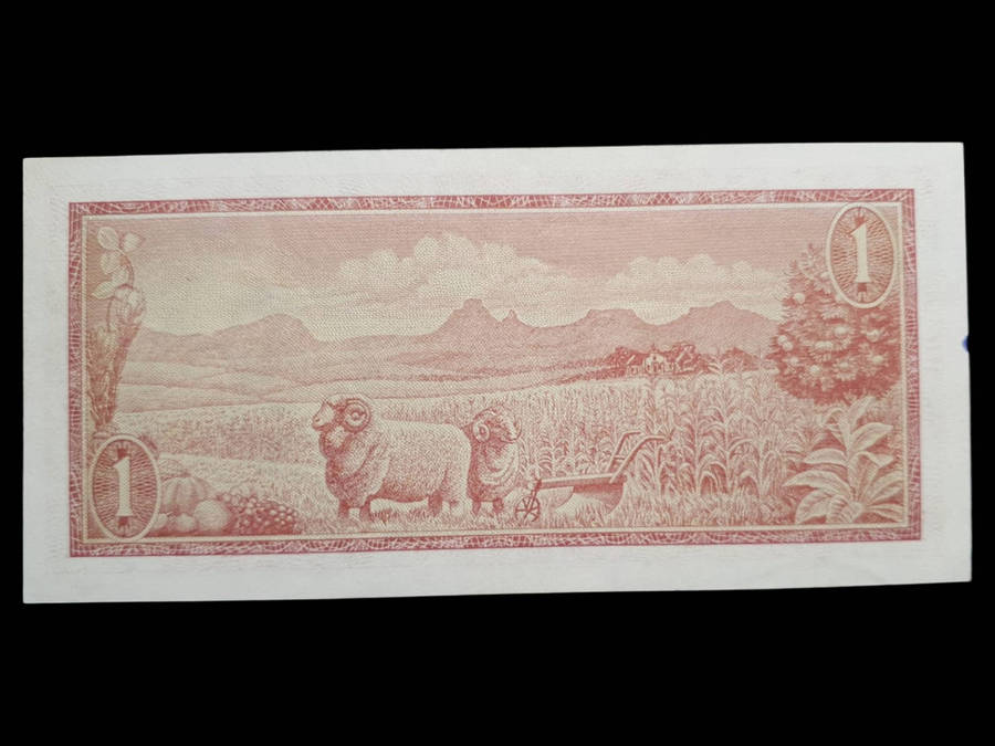 South Africa 1 Rand Banknote  1976 Issue (T.W. de Jongh Signature)