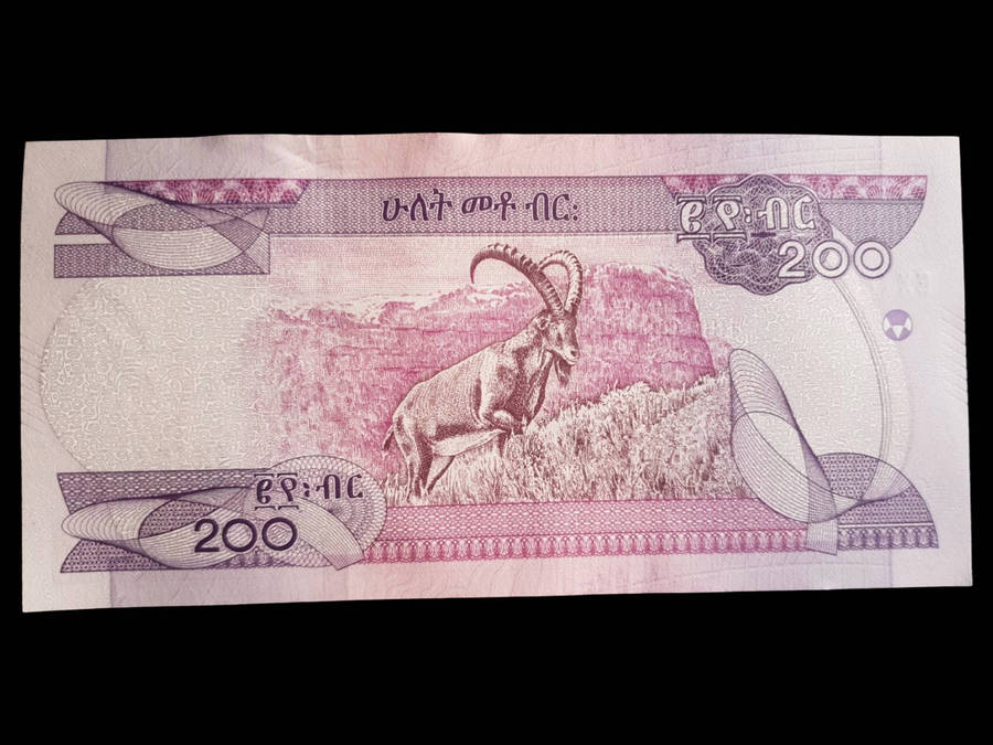 Ethiopia 200 Birr Banknote UNC  2020 Issue (Series EX)
