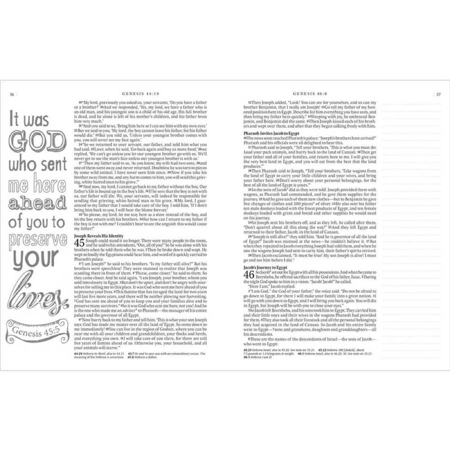 NLT Inspire Bible Blue  Brand New