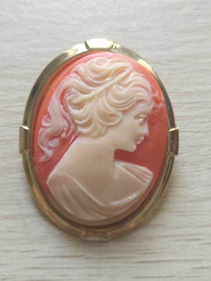 Cameo Brooch Costume Jewellery