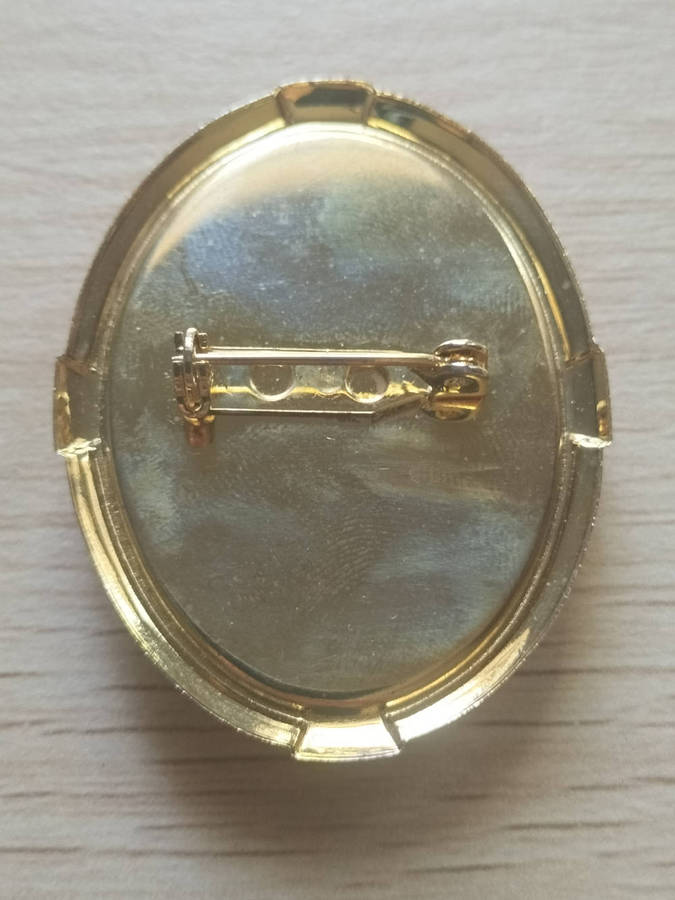 Cameo Brooch Costume Jewellery