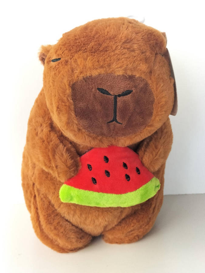 Capybara Cute Plush Toy Assorted Designs