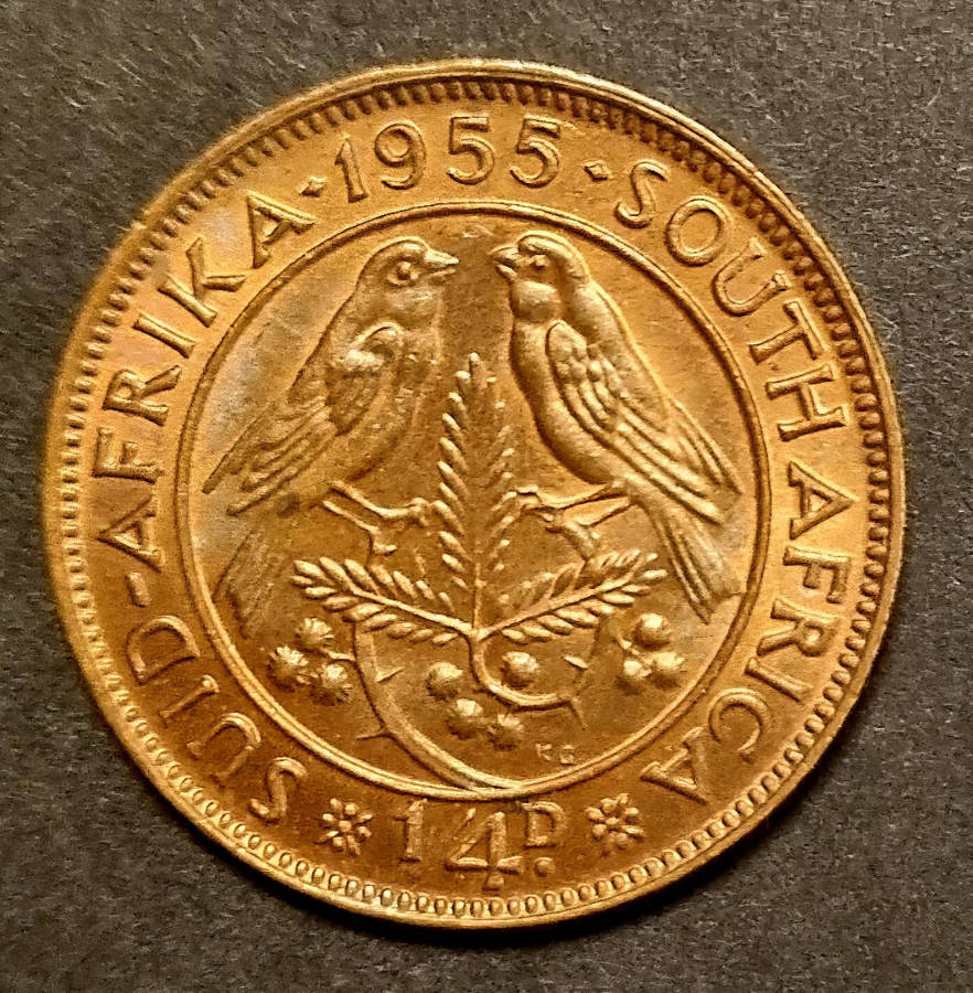 1955 South Africa ¼ Penny  Queen Elizabeth II Bronze Coin