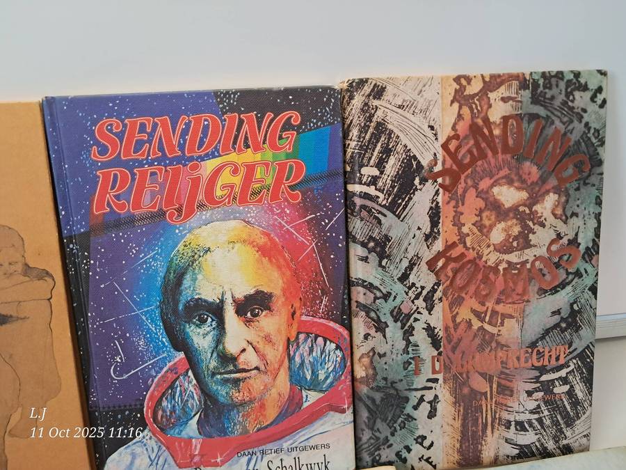 Job-lot Afrikaans young Adults story books