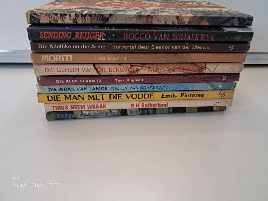 Job-lot Afrikaans young Adults story books