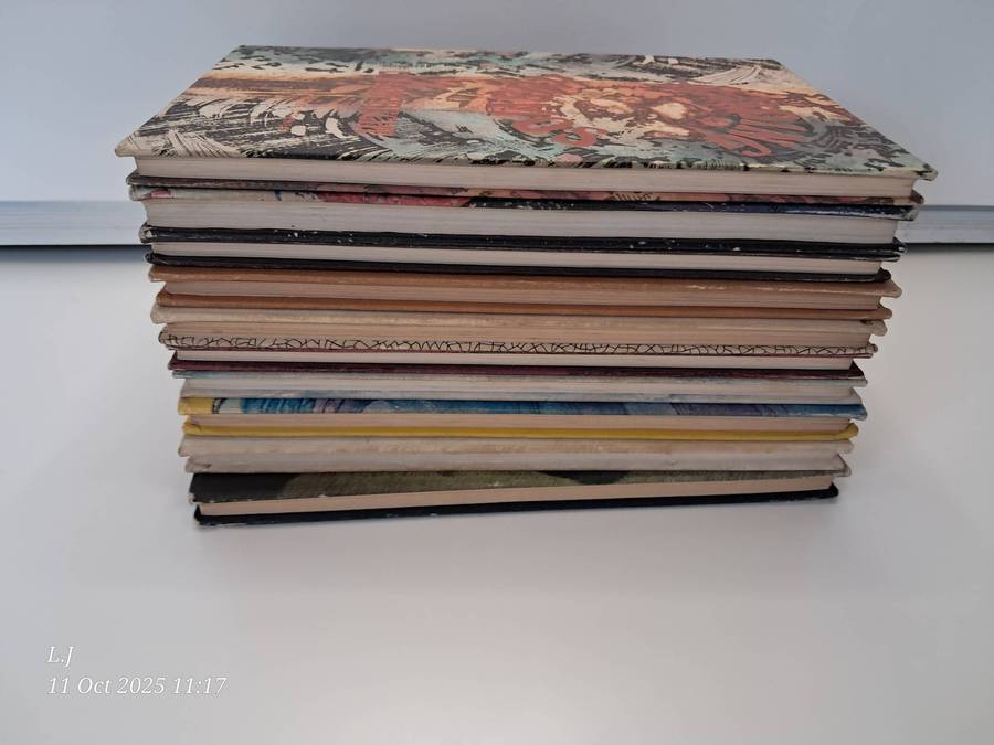 Job-lot Afrikaans young Adults story books