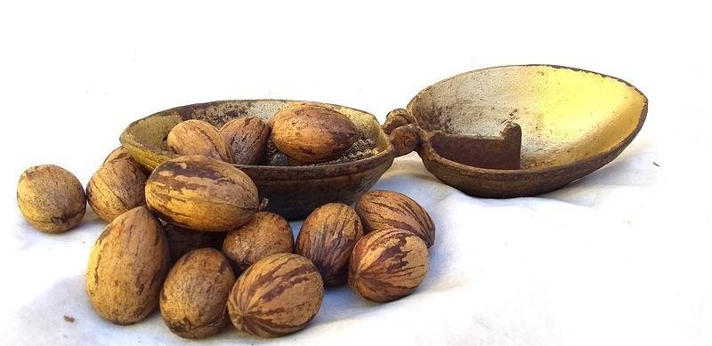 Vintage Victorian Era Cast Iron Nut Cracker