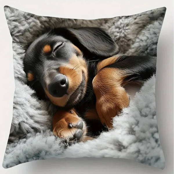Dachshund scatter cushion covers - Set of 4