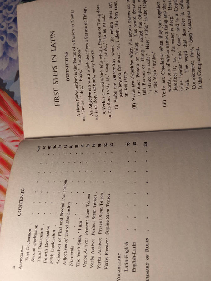 FIRST STEPS IN LATIN - Ritchie