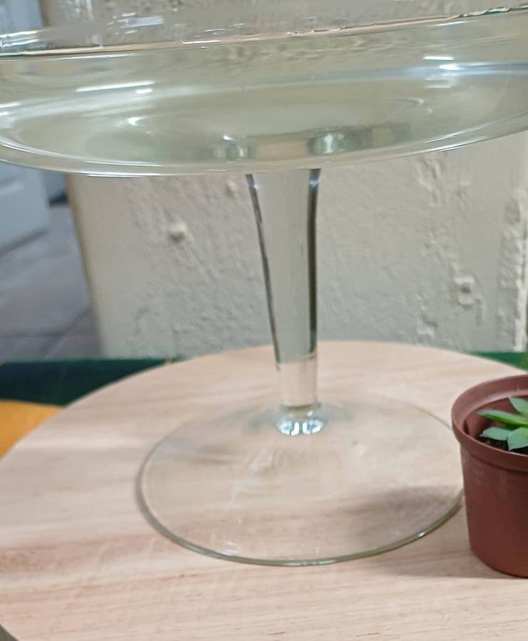 Modern Clear Glass Pedestal Bowl  Elegant & Versatile