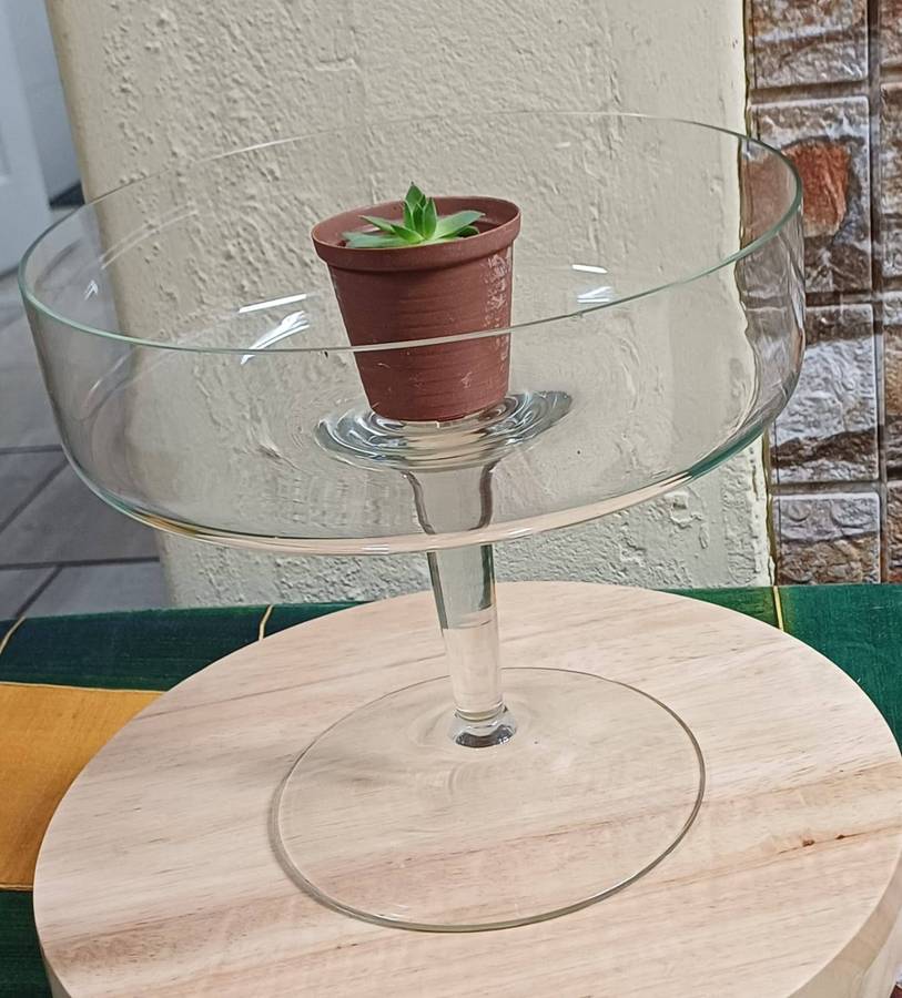 Modern Clear Glass Pedestal Bowl  Elegant & Versatile