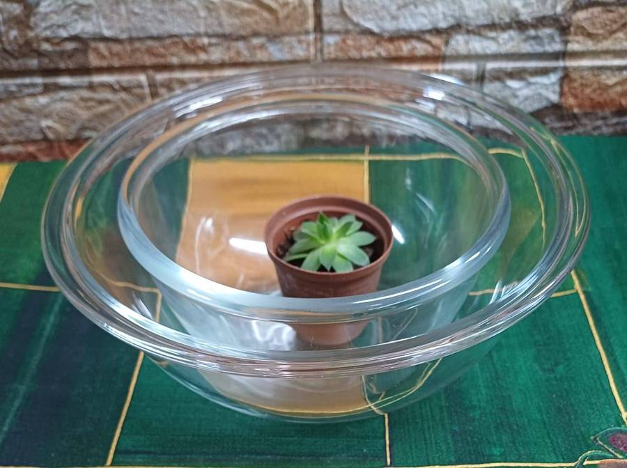 Set of 2 Mixing Bowls  Marinex & Arcuisine (Borosilicate Glass)