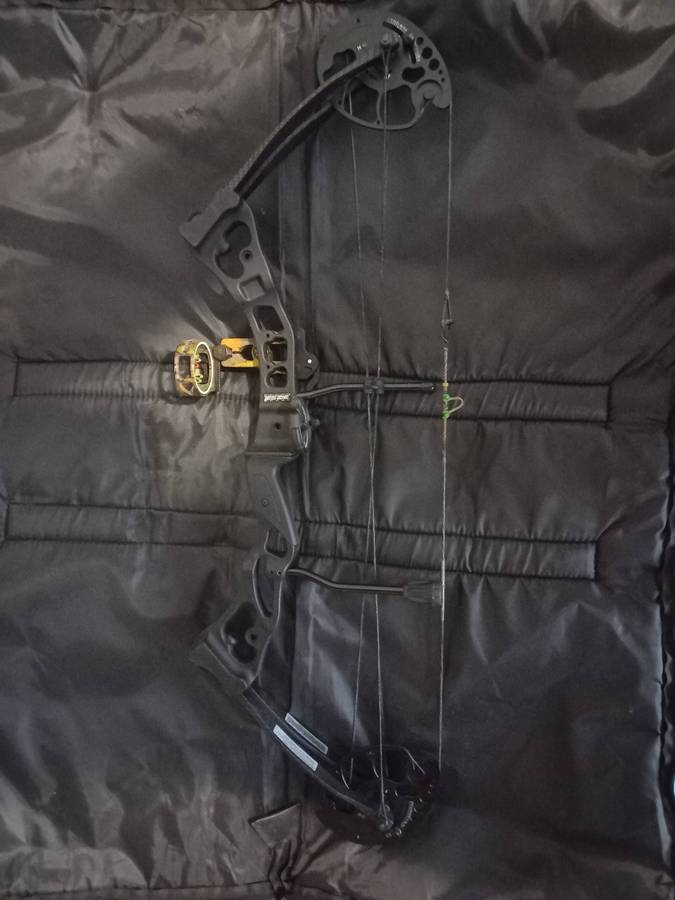 Compound Bow