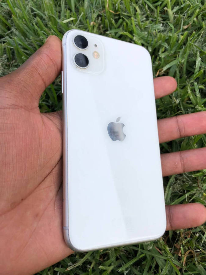 Iphone 11 256 gb