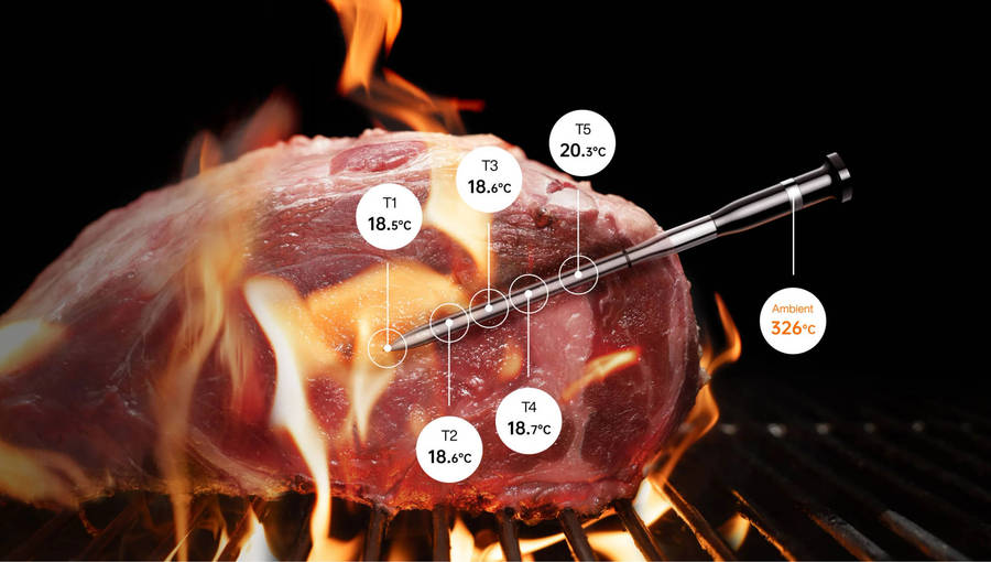 Typhur Sync One - wireless meat thermometer