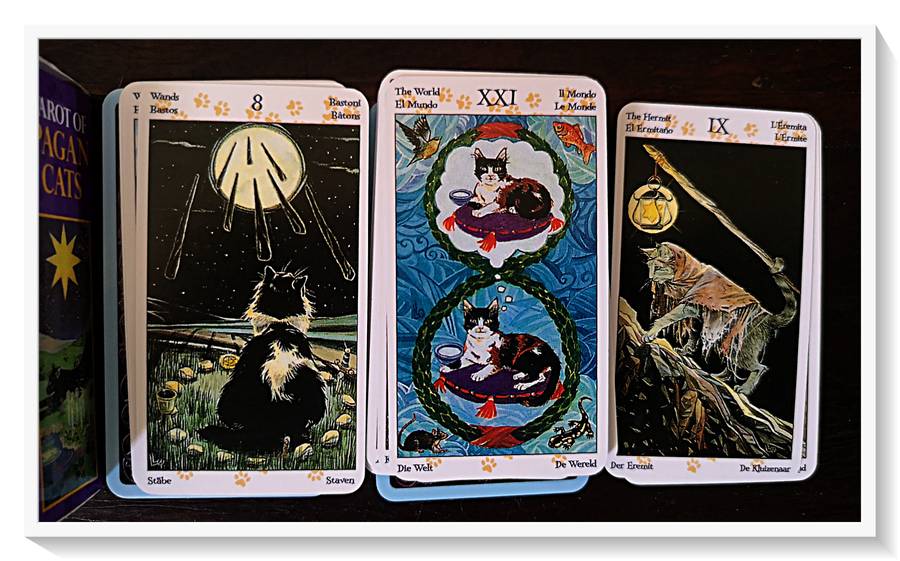 TAROT of PAGAN CATS - A Whimsical Collection of Feline Cards Gorgeous Variations - Condition: New