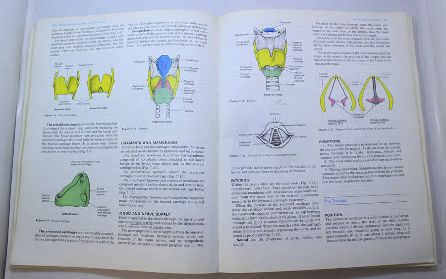 Foundations Of Anatomy & Physiology by Ross & Wilson Softcover Book