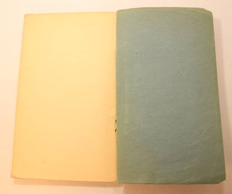 Documents Concerning German Polish Relations 1939 (British Foreign Affairs) Softcover Book