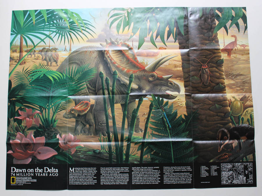 National Geographic Folded Map North America In The Age Of Dinosaurs January 1993