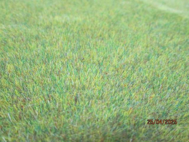 HO SCALE - HEKI/BUSCH - WILD GRASS SHEETS - X4