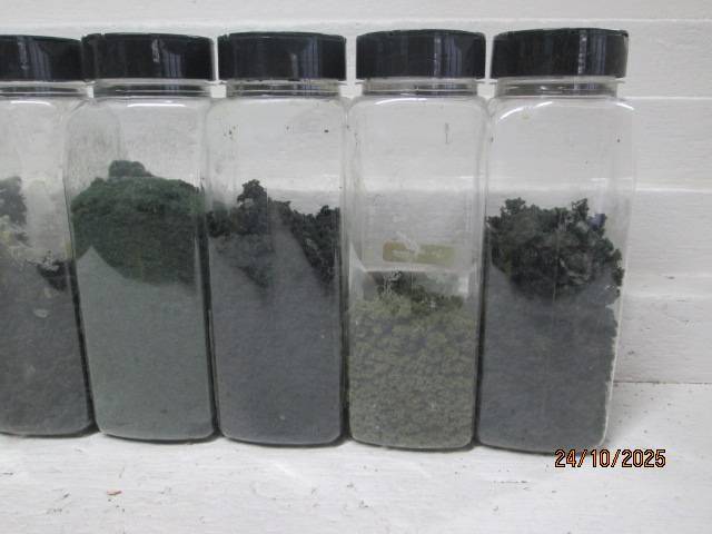 HO SCALE- WOODLAND SCENICS - VARIOUS SCATTER MATERIALS - X7 - BOXED