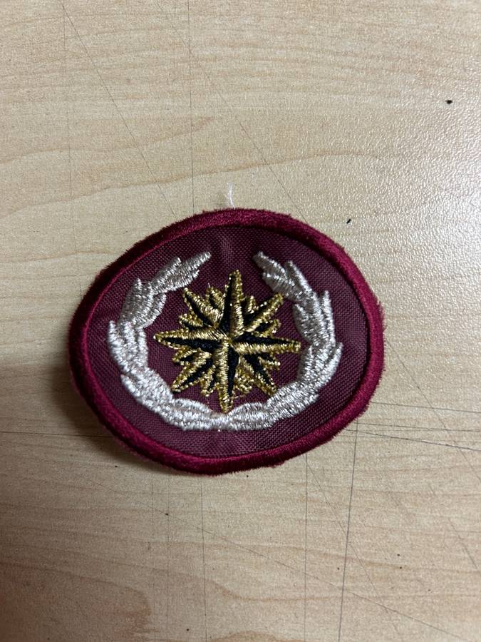 SADF special forces beret badge