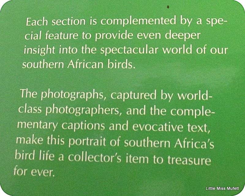 SPECTACULAR WORLD OF SOUTH AFRICAN BIRDS
