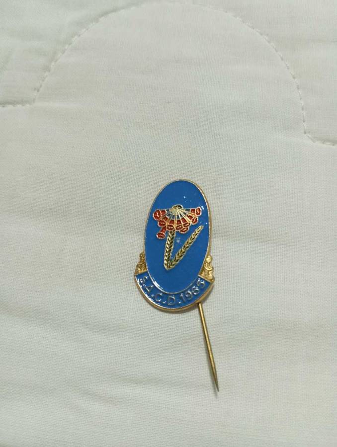 Rugby Pin