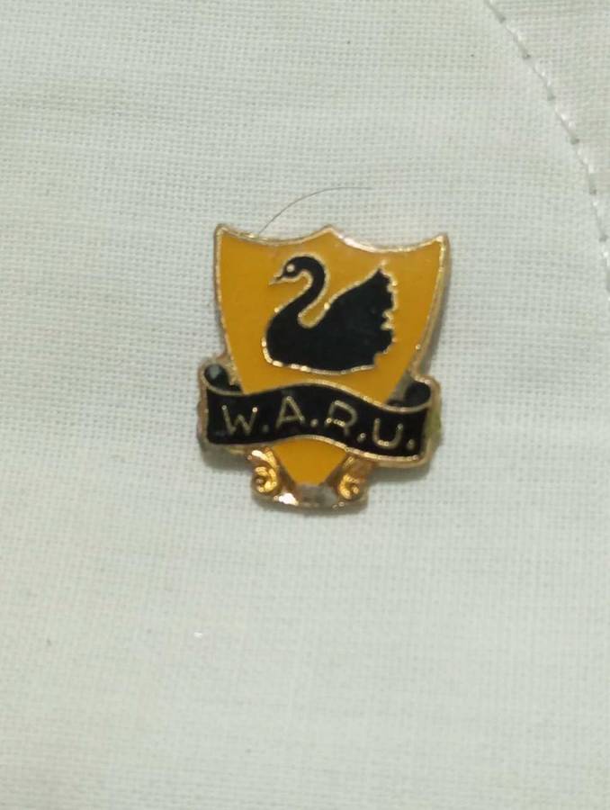 Rugby pin