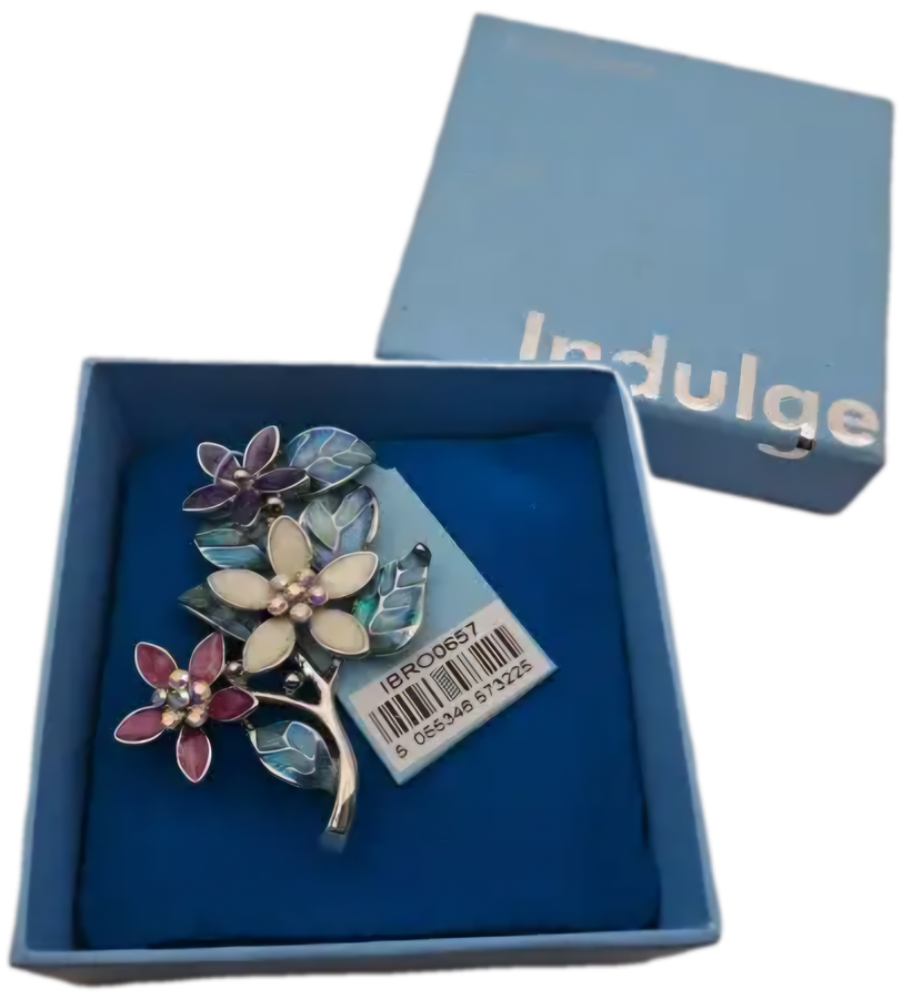 Indulgence metal Brooch still in Box  65x50mm