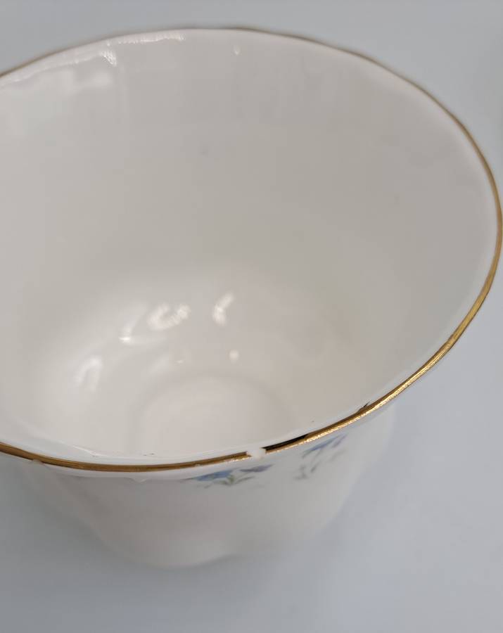 Vintage Royal Albert Memory Lane Cup and Saucer -Cup has a Chip
