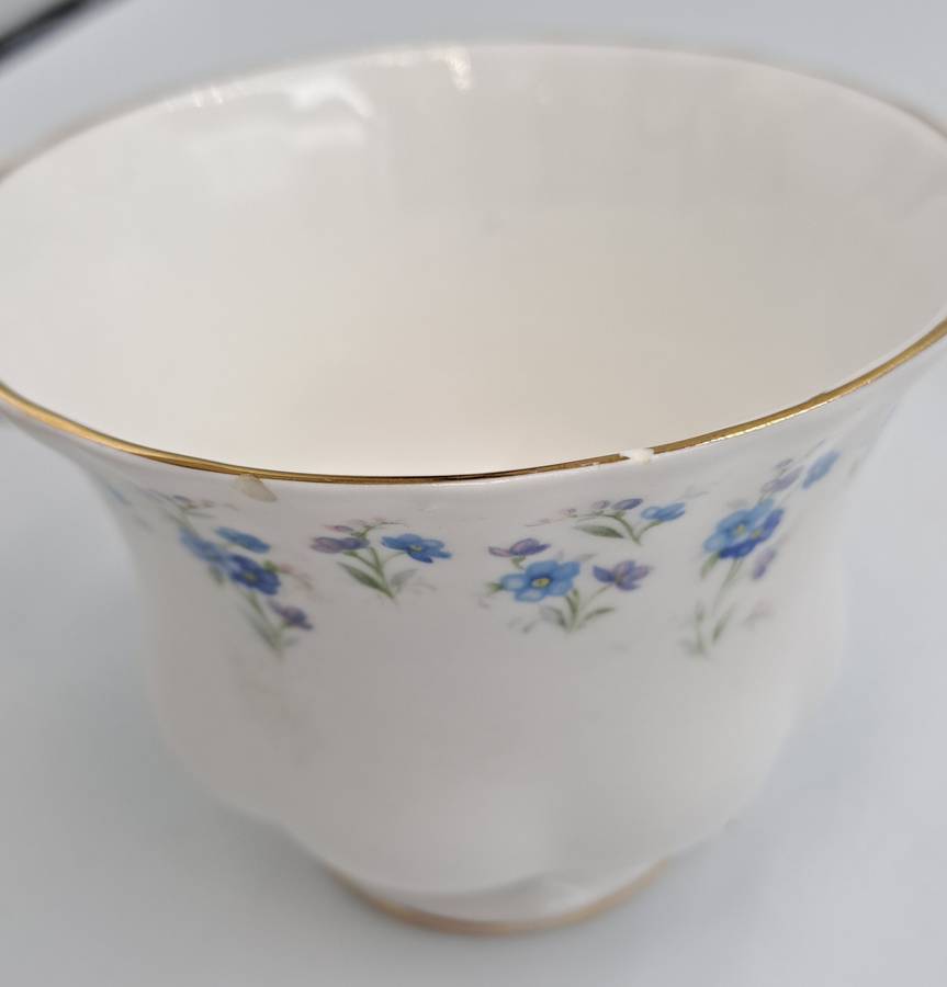 Vintage Royal Albert Memory Lane Cup and Saucer -Cup has a Chip