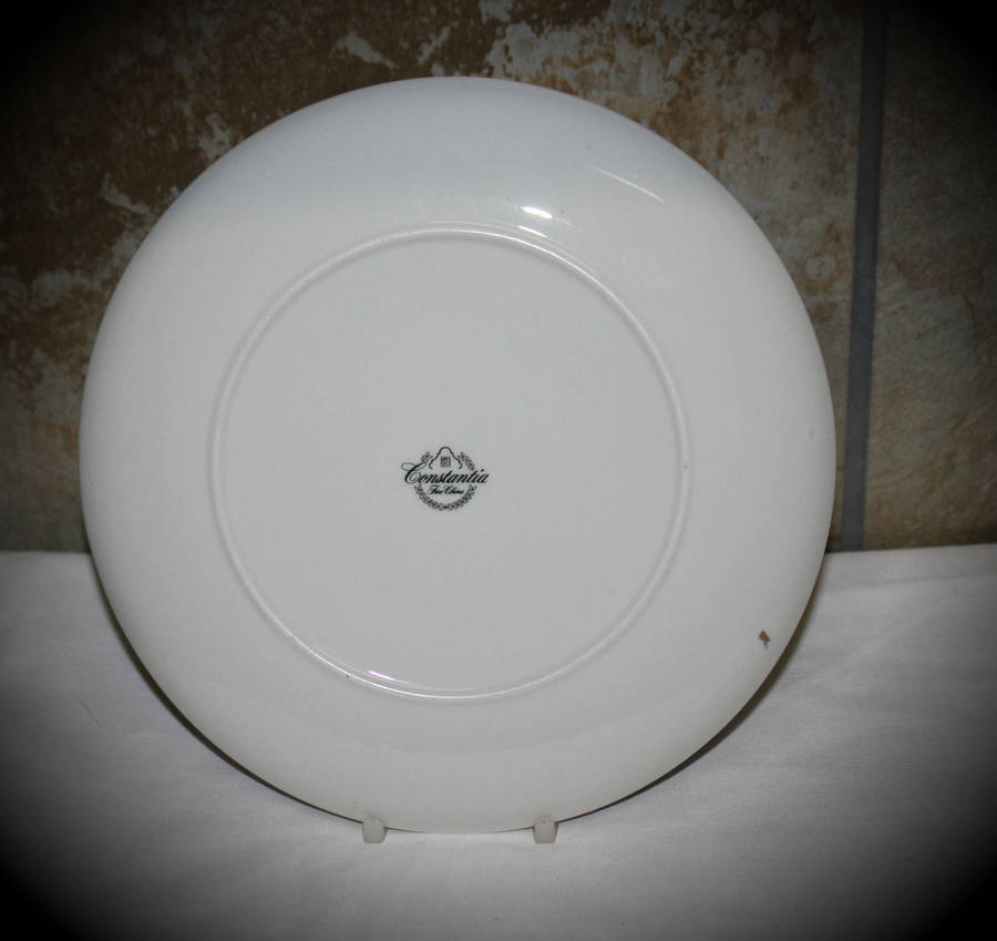 Collectable Vintage Constantia Fine China  Decorative Plate 233mm
