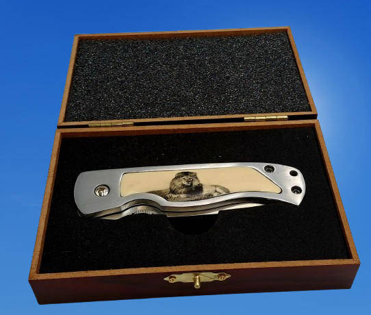 Collectable Big Five Pocket Knife - LION - In wooden display Box