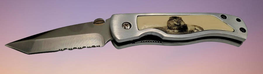 Collectable Big Five Pocket Knife - LION - In wooden display Box