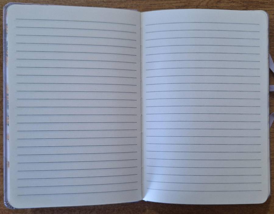 Lilac Butterfly journal 80 pages A5 size