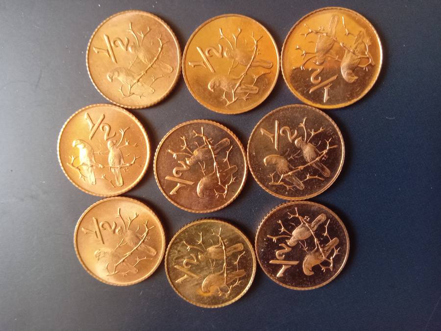 SOUTH AFRICA PROOF HALF CENTS "RARE FIND" UN DOCUMENTED NOT INTO DISTRIBUTION