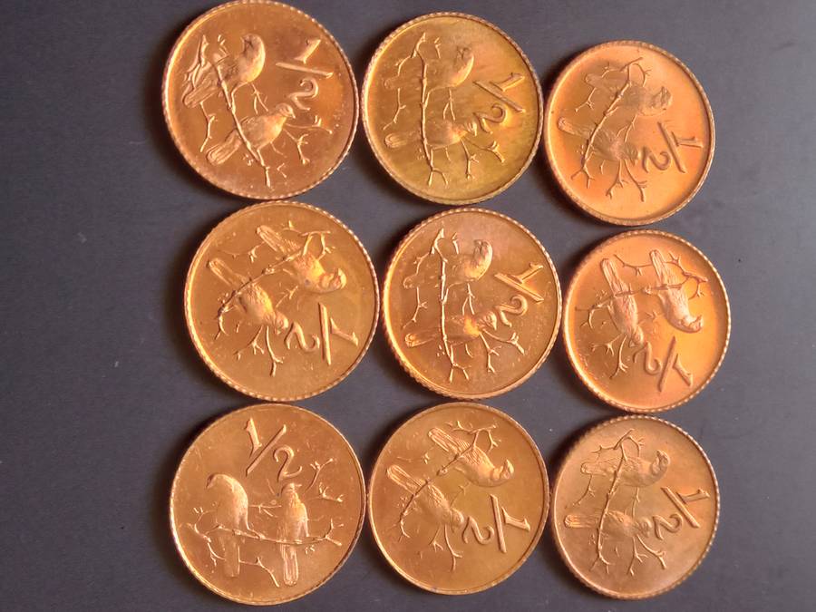 SOUTH AFRICA PROOF HALF CENTS "RARE FIND" UN DOCUMENTED NOT INTO DISTRIBUTION