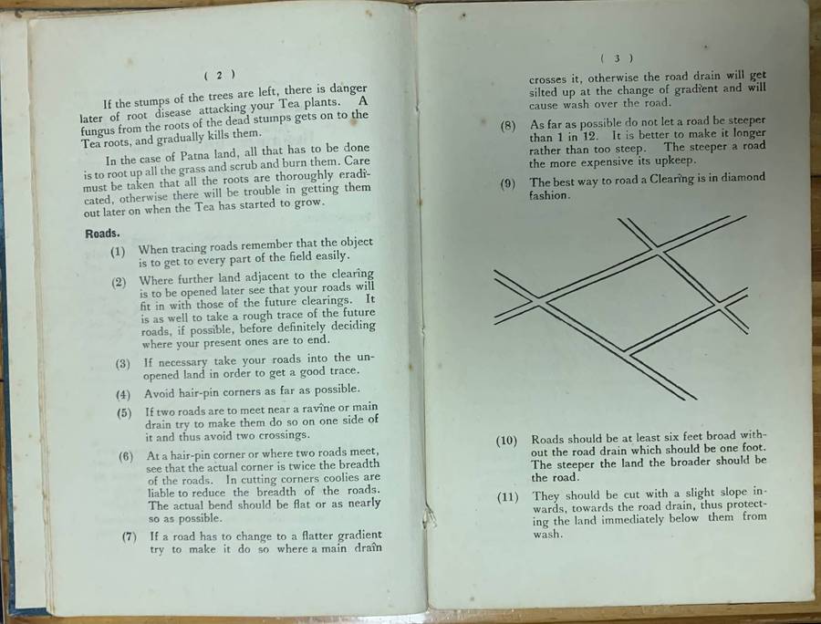 Some notes on Tea Planting for Beginners & Others