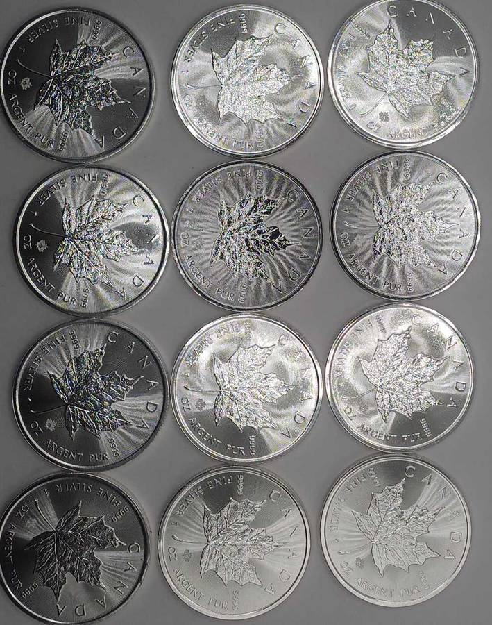 12 x 1oz 2021 Pure Silver Canada Dollats Bid per Coin