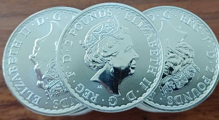 50x2021 1oz .999 silver 2012 2Pounds bid per coin