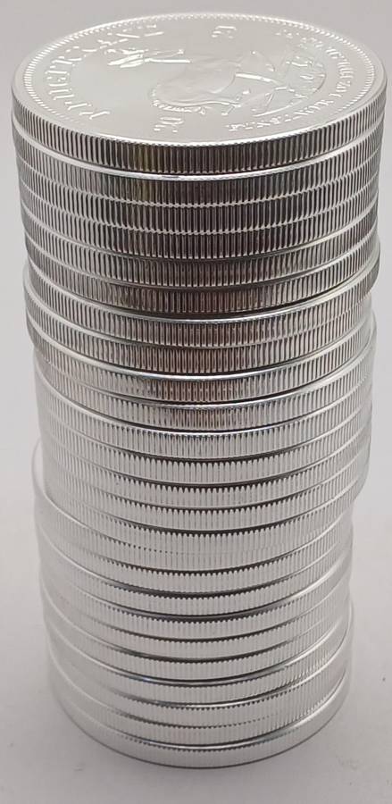 25x2021 Silver Kruger Rands 1oz .999 Silver Bid per coin