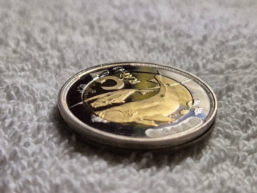 2024 Oom Paul Press CW5Rand ERROR 5Rand Coin not a easy find Real Collectors Coin