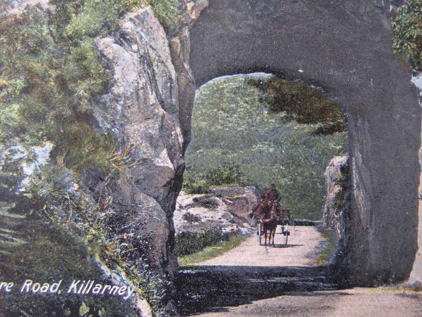 Lawrence Irish POSTCARD - Tunnel, Kenmare Road, Killarney