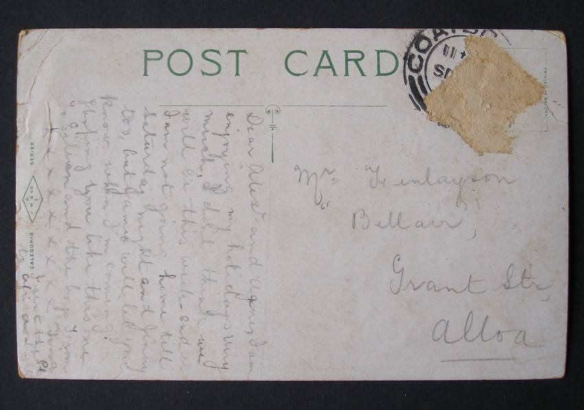 Caledonia Series Scottish POSTCARD - The Pines, Rouken Glen