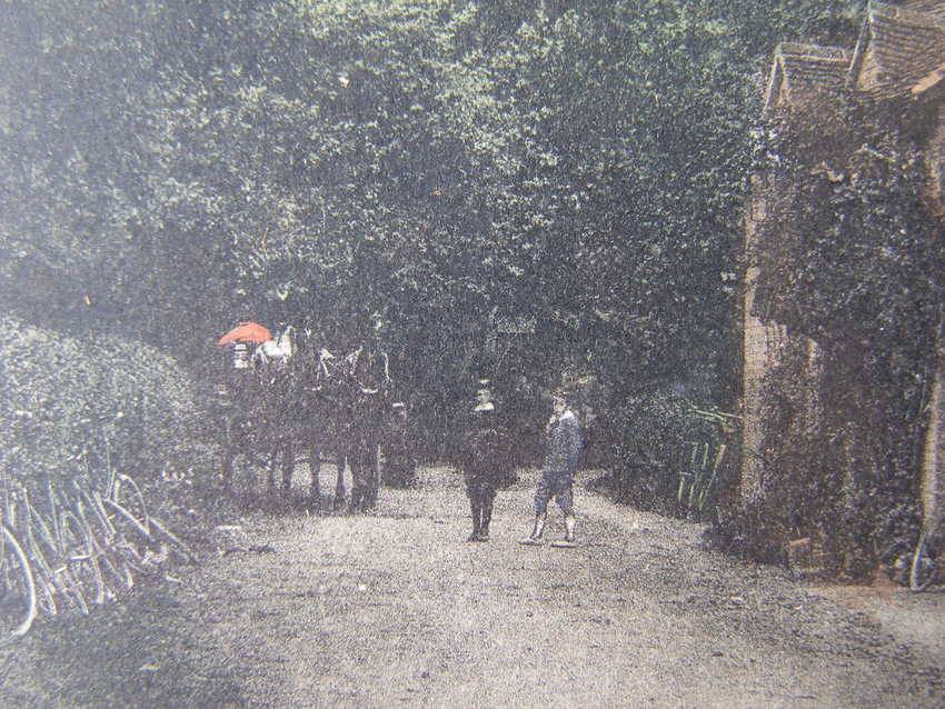 Lloyd Antique POSTCARD - The Cottage, Silent Pool, Albury