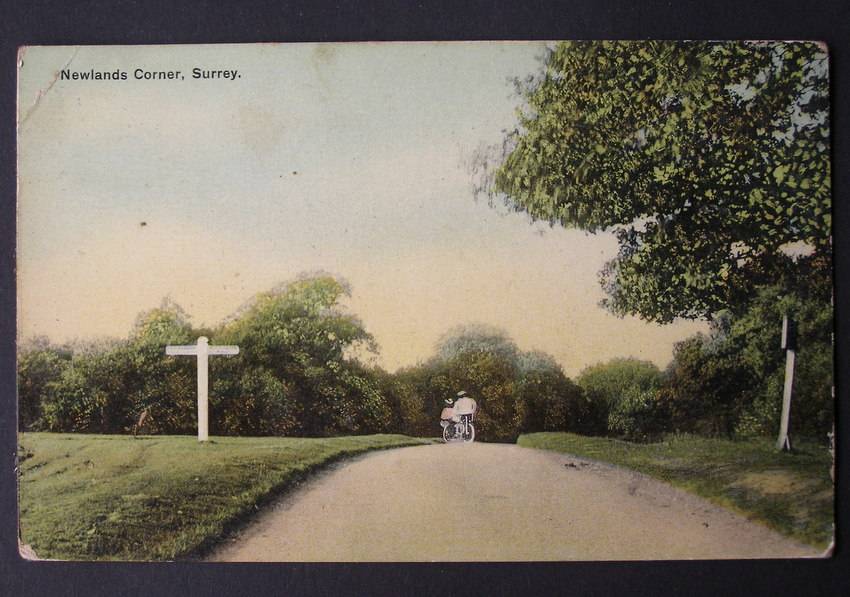 S. & W. Series Antique POSTCARD - Newlands Corner, Surrey